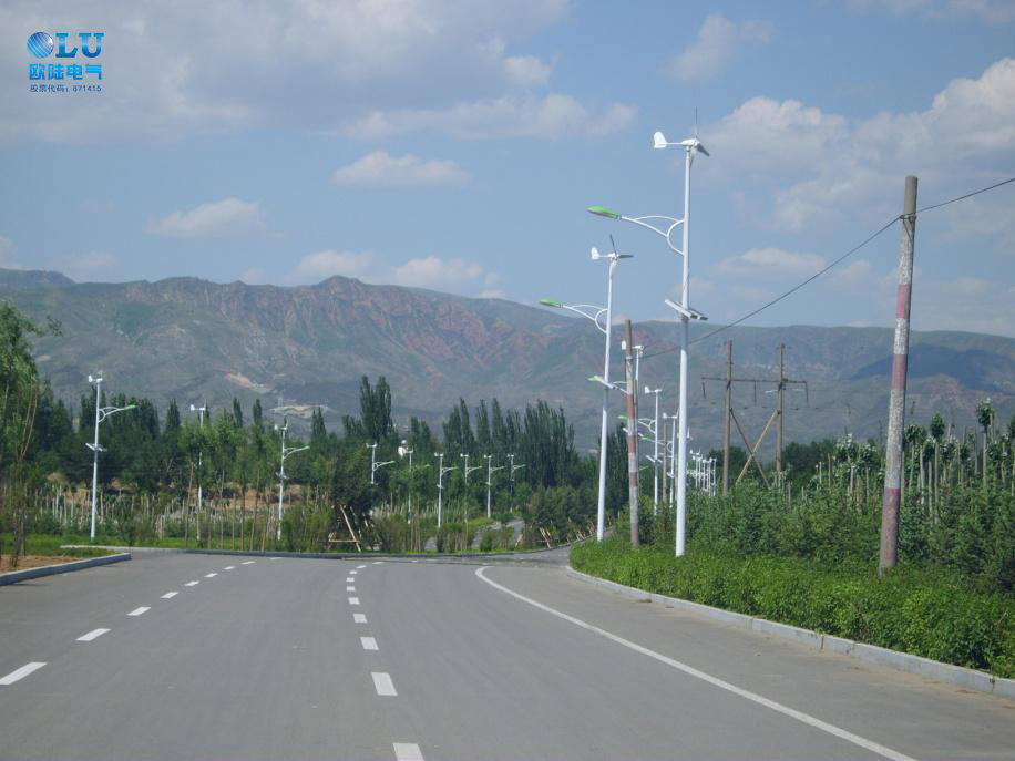 南京恒信彩风光互补路灯.jpg